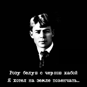 11. Гибридная поэзия, том 1