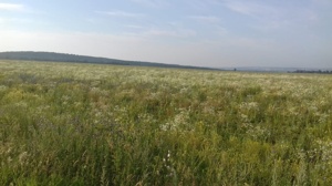 Природой я дышу и крепну