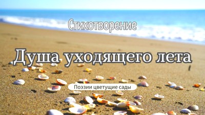 Душа уходящего лета Душа уходящего лета