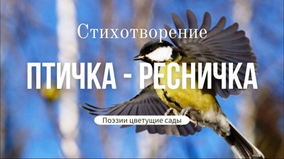 Птичка - ресничка Птичка - ресничка