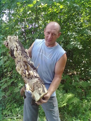 Стало небо громкое Стало небо громкое