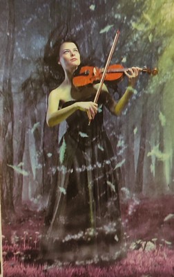 324ф-ок. Скрипка 324ф-ок. Скрипка