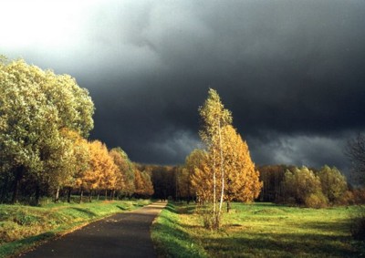 Лес Лес