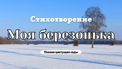 Моя березонька Моя березонька