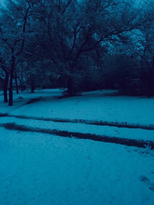 CCLXXVII. Покидая Цюрих CCLXXVII. Покидая Цюрих