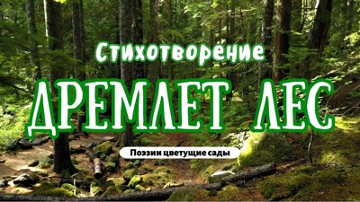 Дремлет лес