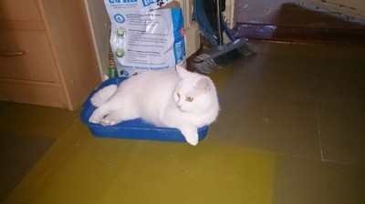 Ева! Ева!