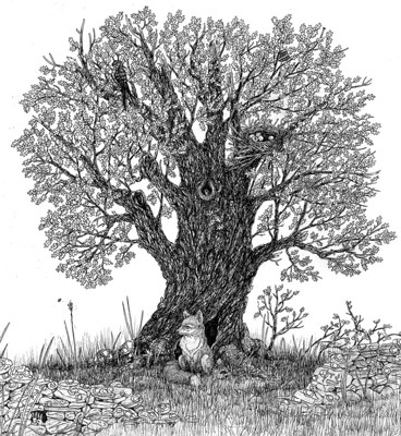 The Whisper of Sherwood Forest The Whisper of Sherwood Forest