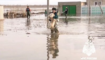Весенний паводок Весенний паводок