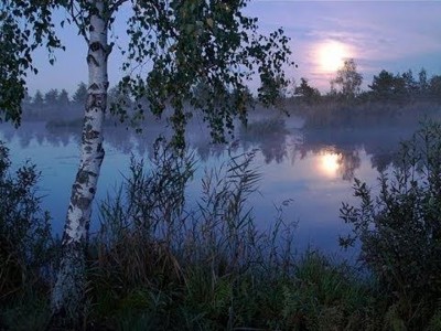 Художник Художник