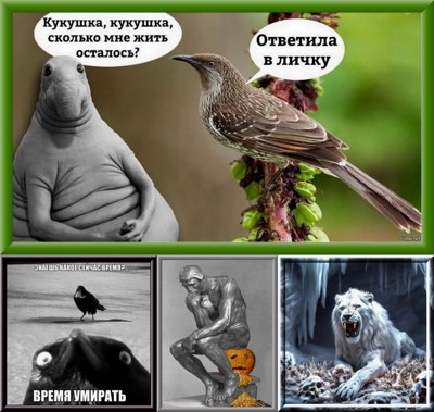 Когда бы снегирей хватало Когда бы снегирей хватало