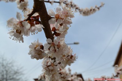 Ты позвал меня… куда?