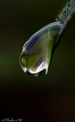 Капля