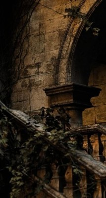 Окном на Запад и Туман Окном на Запад и Туман