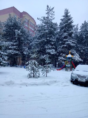 Входи, Зима! Входи, Зима!
