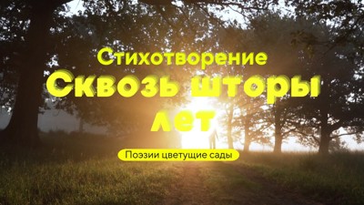 Сквозь шторы лет Сквозь шторы лет