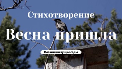Весна пришла