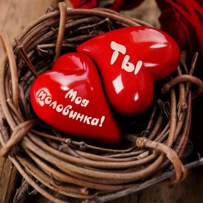 Люблю тебя! Люблю тебя!