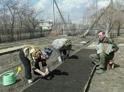Что с нами поделаешь…