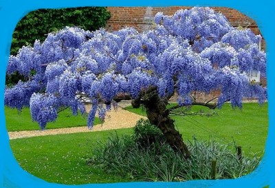 Красота и мы Красота и мы