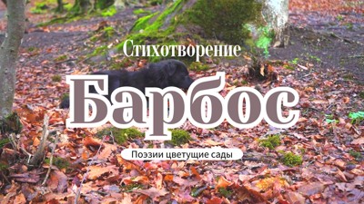 Барбос Барбос