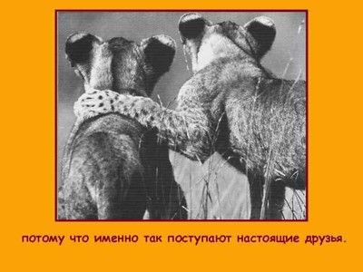 Размышления о дружбе