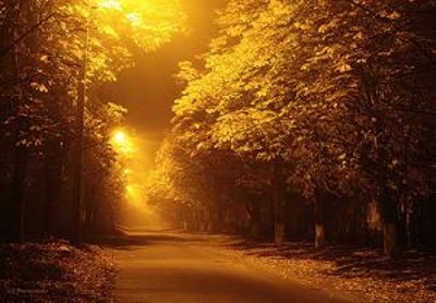 Осень Осень