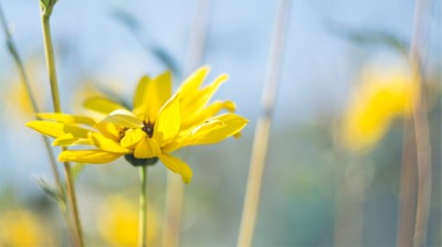 174ф-ок. 10 слов. 174ф-ок. 10 слов.