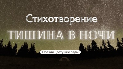 Тишина в ночи