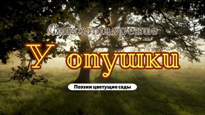 У опушки У опушки