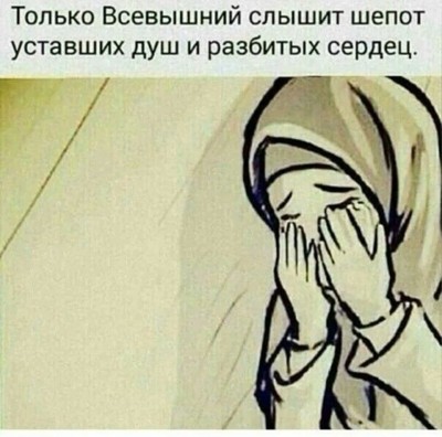 Дорога Дорога