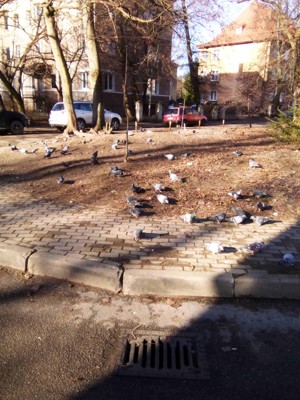 Код жизни Код жизни