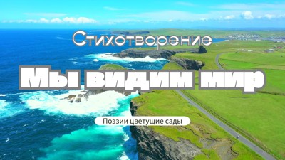 Мы видим мир Мы видим мир
