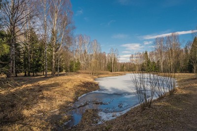 Весна хлопочет Весна хлопочет
