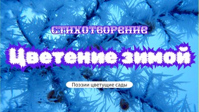 Цветение зимой Цветение зимой