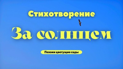 За солнцем