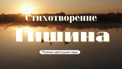 Тишина