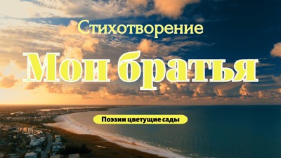 Мои братья