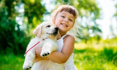 Катя и плюшевые ушки. Детям