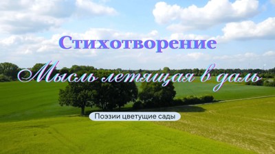 Мысль летящая вдаль Мысль летящая вдаль
