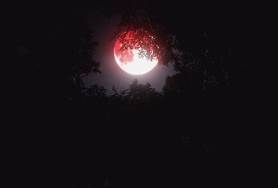 CXXVI. Приходи этой ночью к забытым руинам CXXVI. Приходи этой ночью к забытым руинам