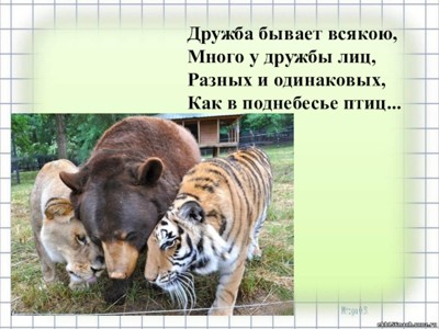 О дружбе О дружбе